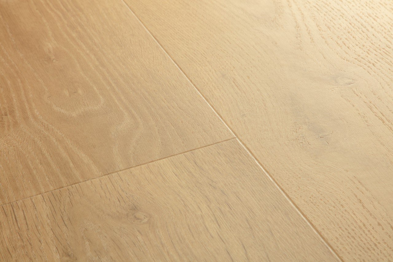 Bloom: Soft, Natural Elegance