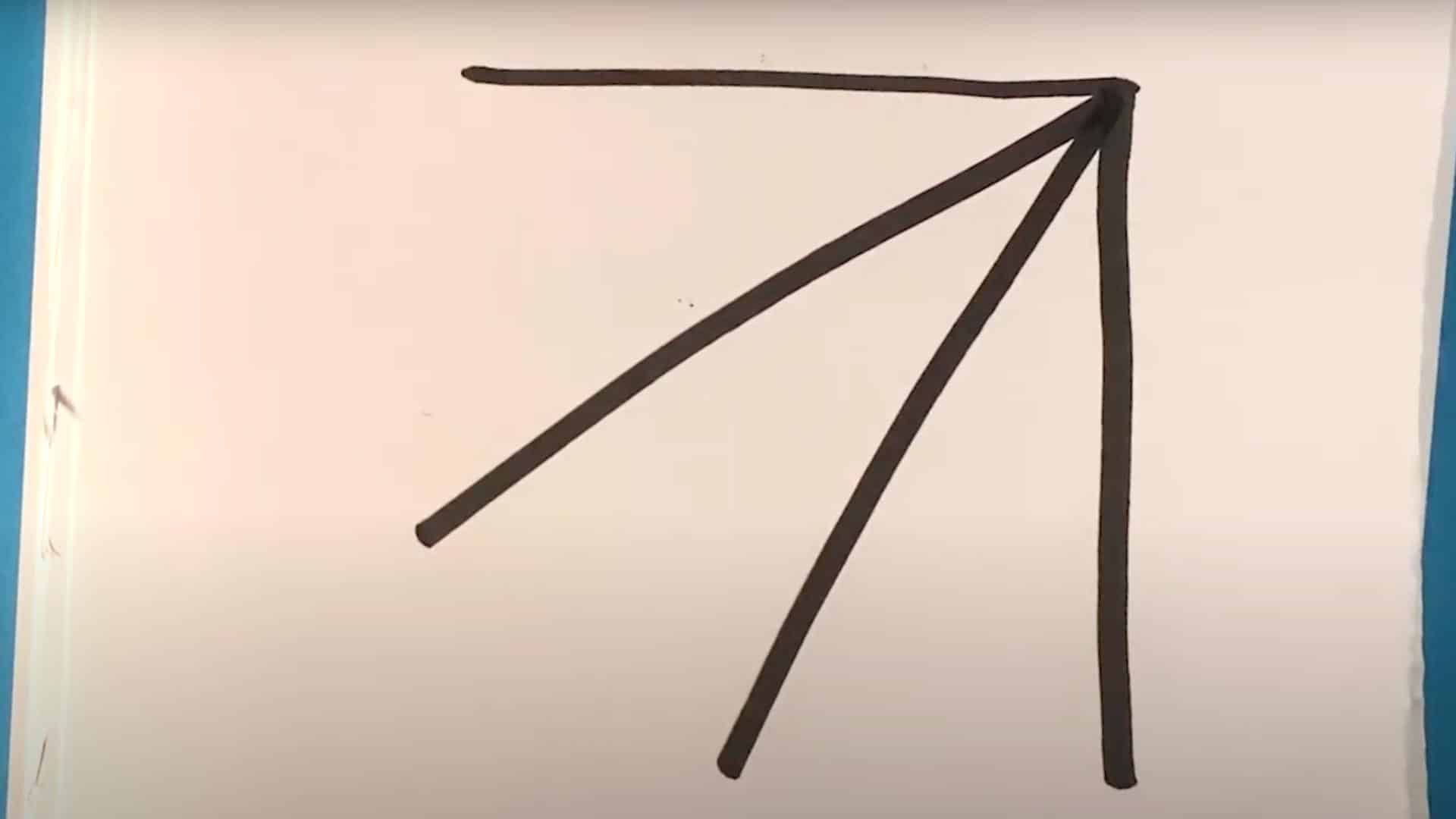 Step_1_Draw_the_Webs_Structure