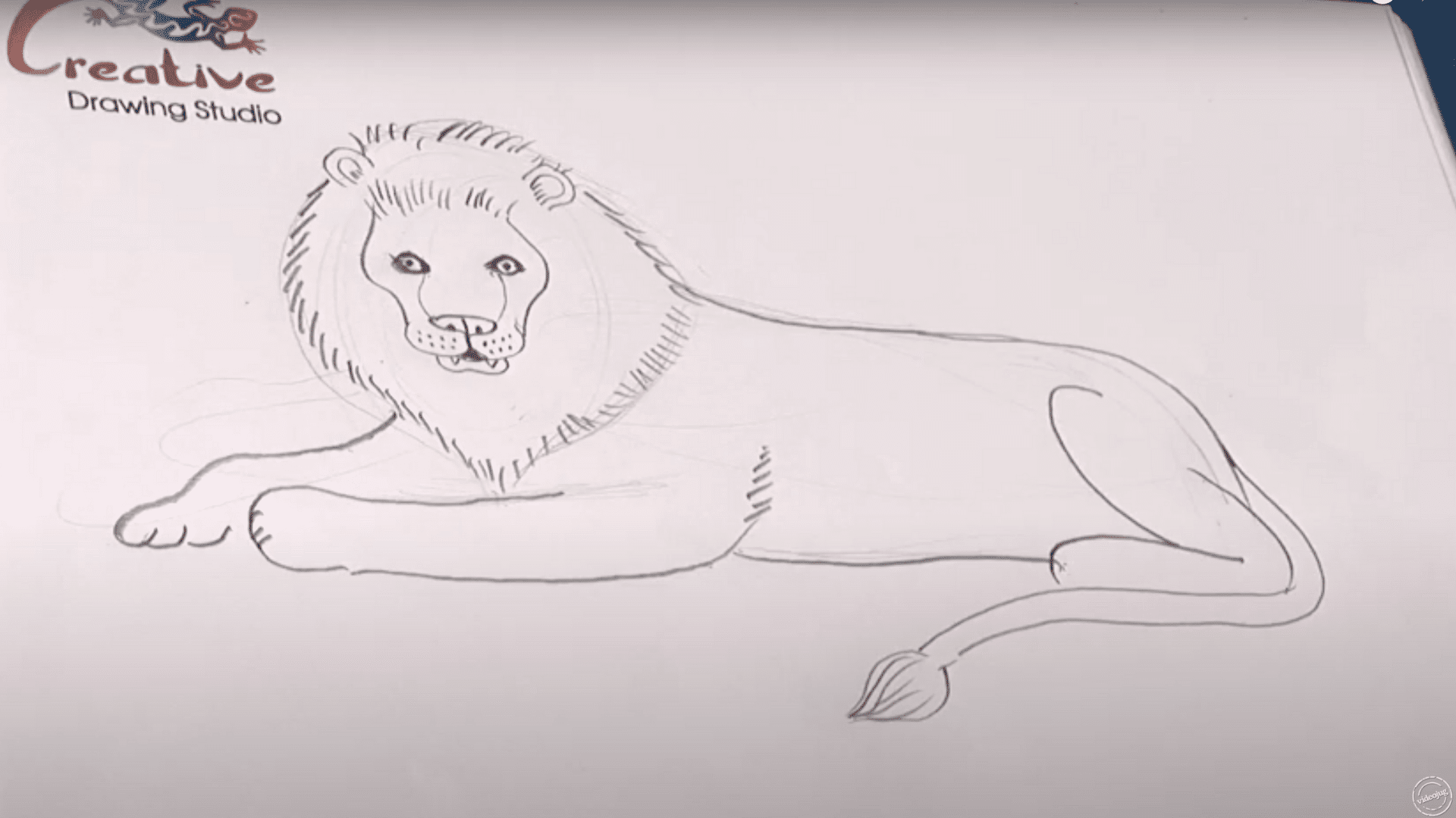 Step_5_Complete_the_Body_and_Tail