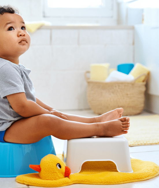 Why Your Toddler will Not Poop in the Toilet?