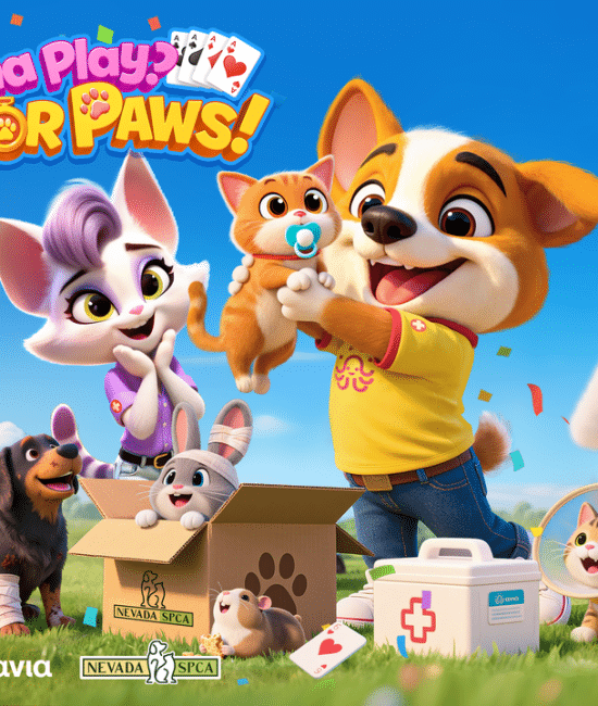 Play, Feed, Support: Play for Paws Supports Nevada SPCA - mothersalwaysright.com