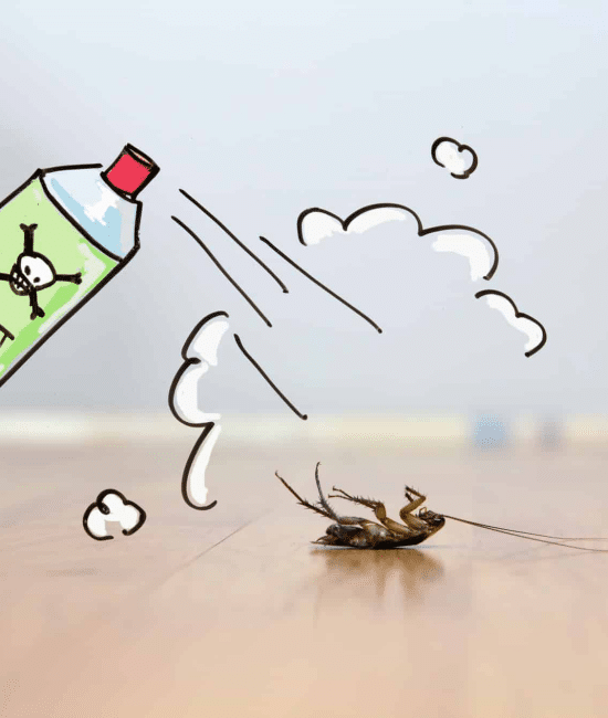 Need of Immediate Pest Control Service