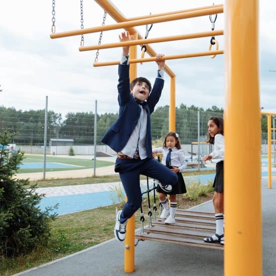 The Ultimate Guide to Choosing the Perfect Monkey Bars for Your Children