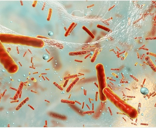 How Fast Does Biofilm Come Back After a Cleaning Cycle