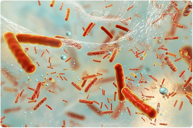 How Fast Does Biofilm Come Back After a Cleaning Cycle