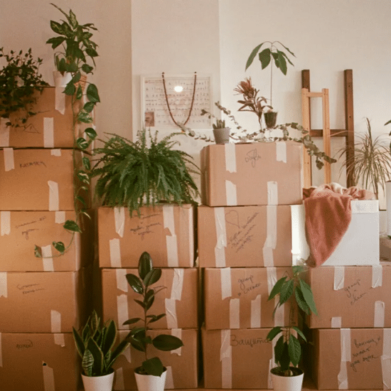 From Clutter to Keys: A Practical Moving Roadmap
