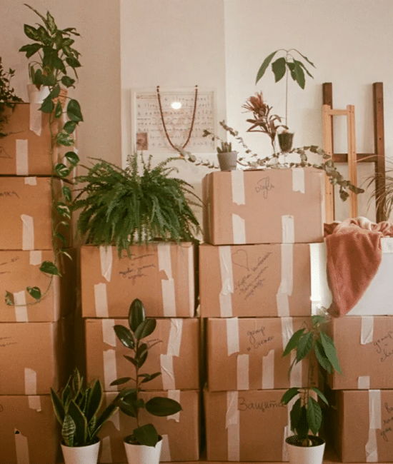 From Clutter to Keys: A Practical Moving Roadmap