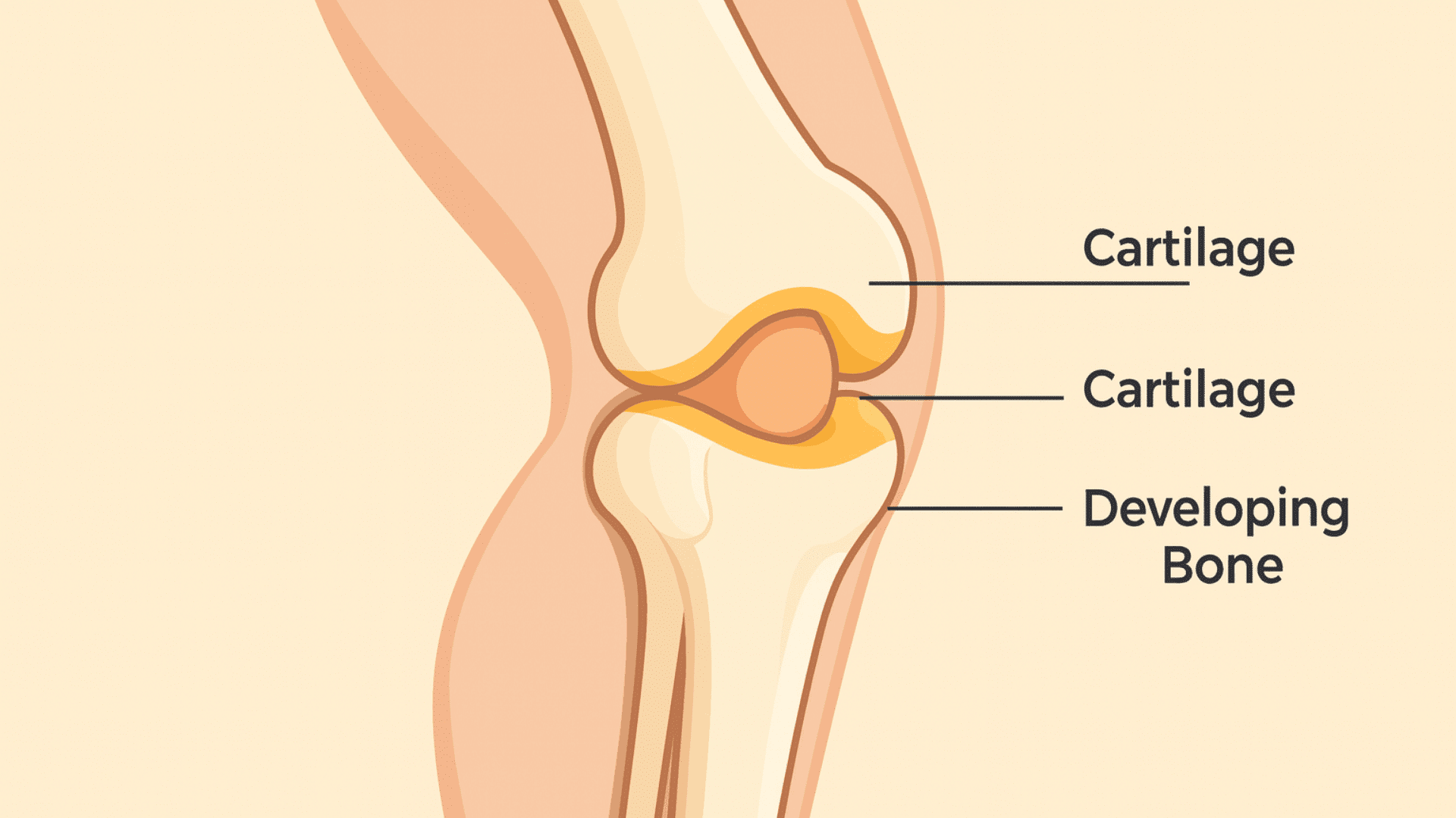 do babies actually have kneecaps