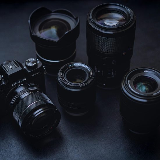 Capture the Wild: Master the Lens with a Wildlife Photography Course