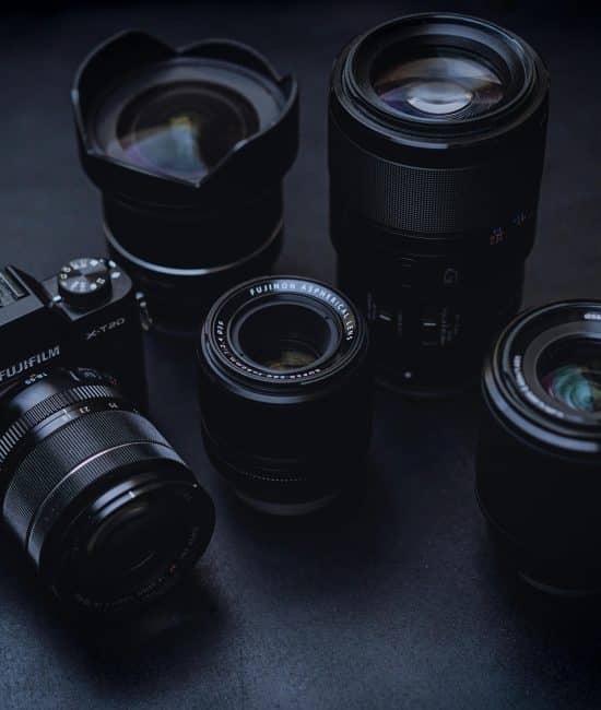 Capture the Wild: Master the Lens with a Wildlife Photography Course