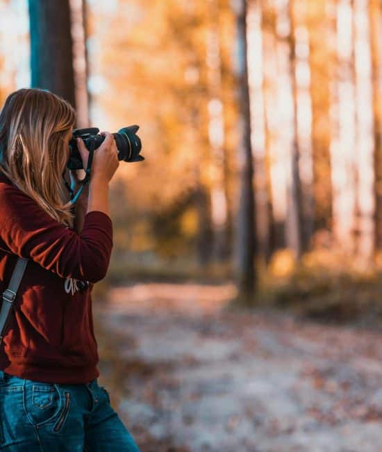 Seeing Nature Differently: How Education Changes the Way You Photograph Wildlife