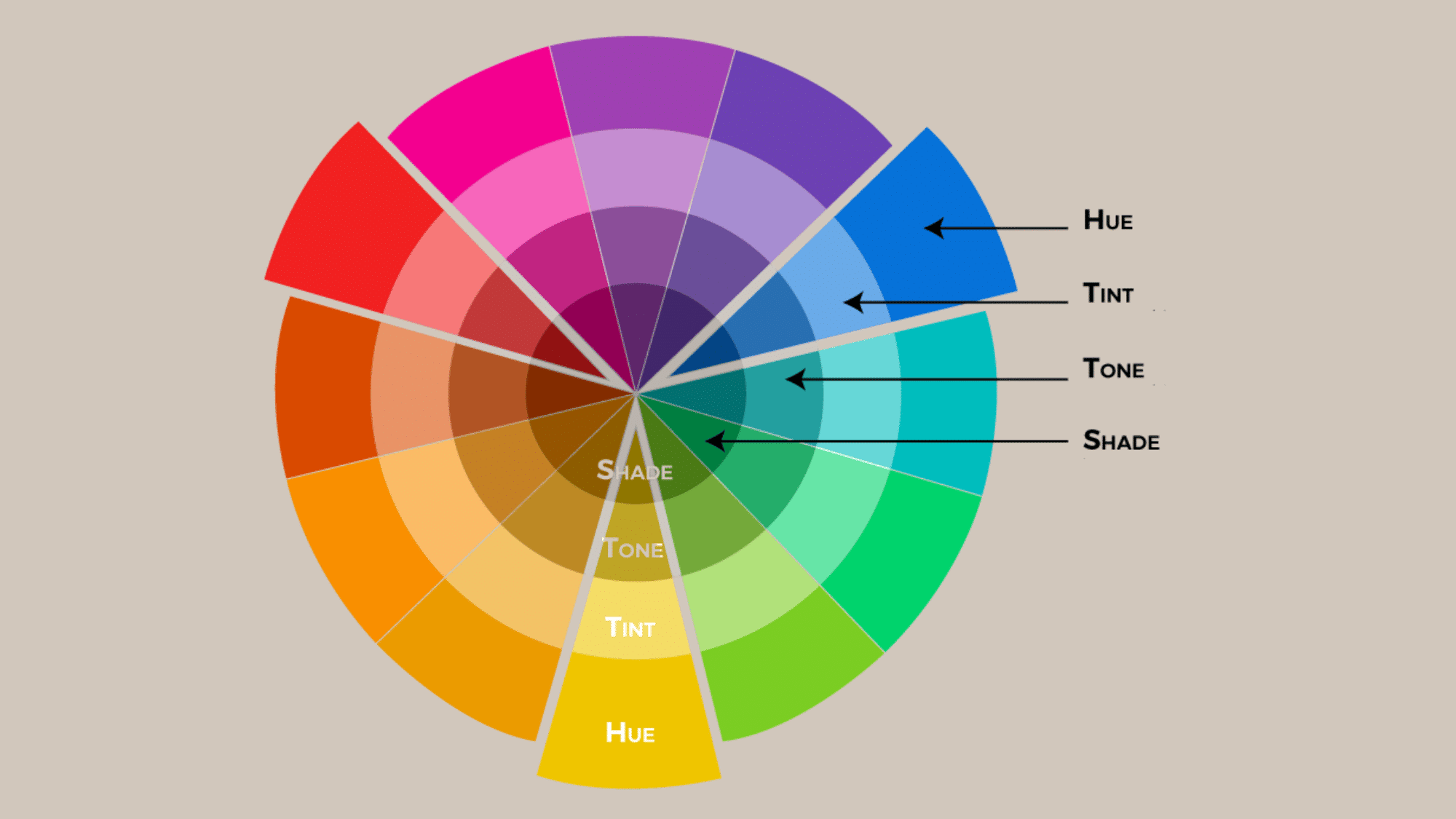 Color wheel diagram illustrating hue, tint, tone, and shade variations on a black background.