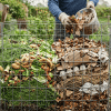 Gardener adding dry brown materials to a wire compost bin filled with green kitchen scraps in a lush garden setting.