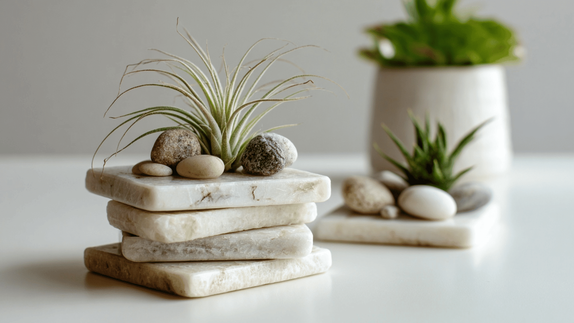 Marble coasters with air plants and stones