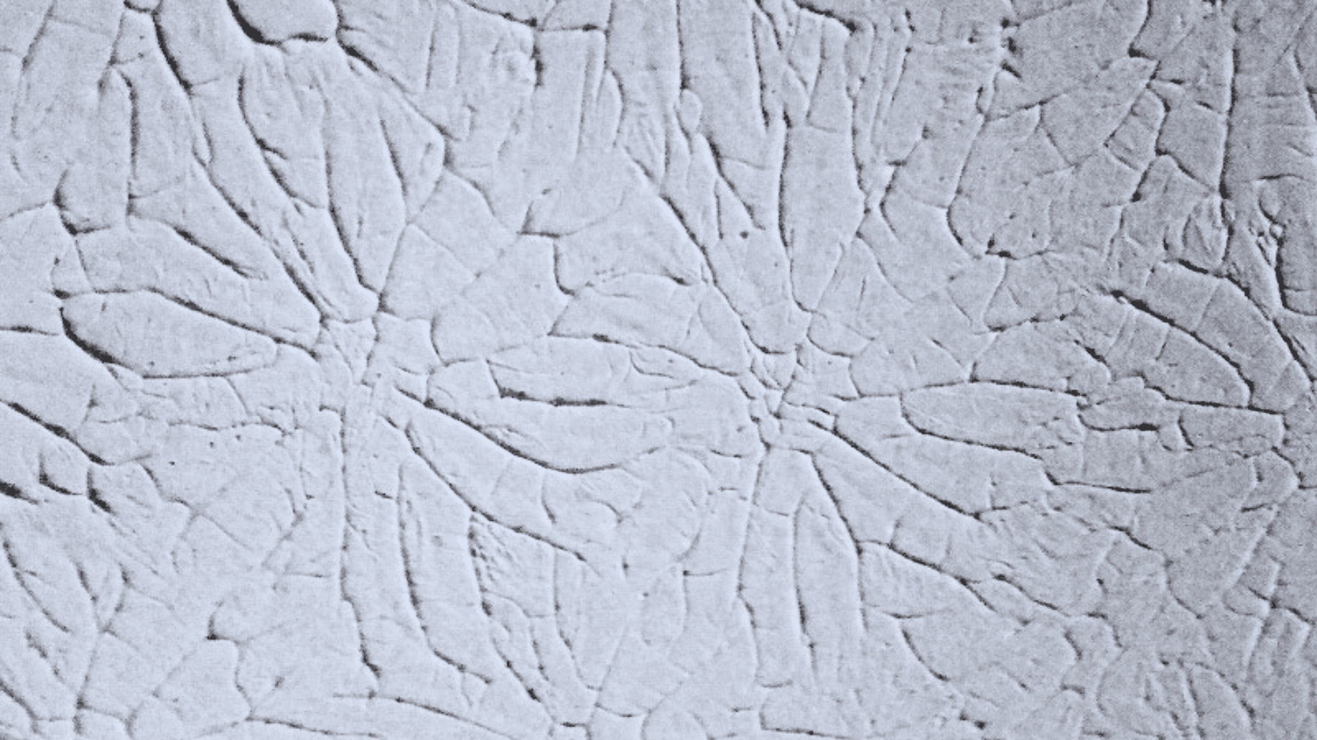 Rosebud wall texture with floral pattern on drywall