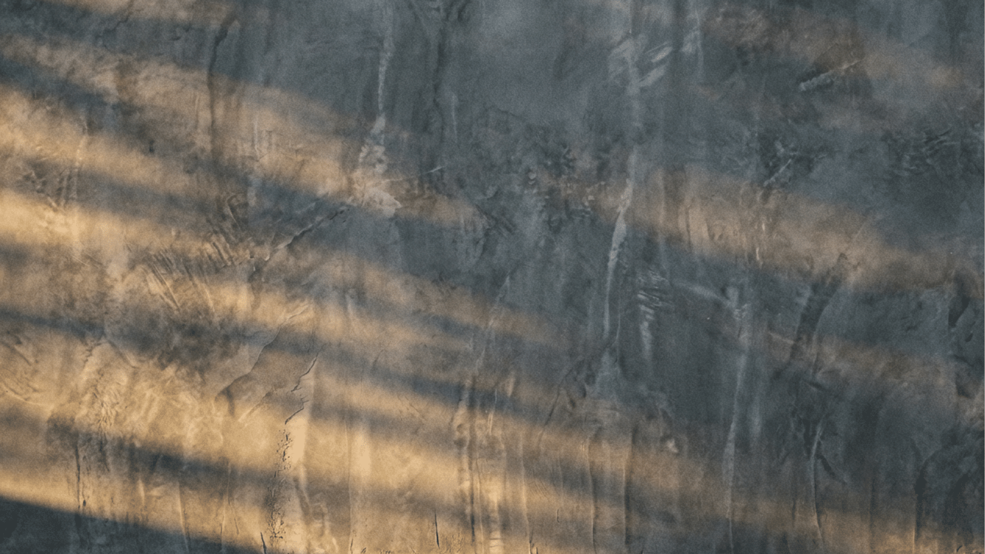 Venetian plaster textured wall with polished finish