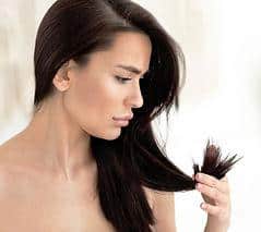 argan oil for split ends