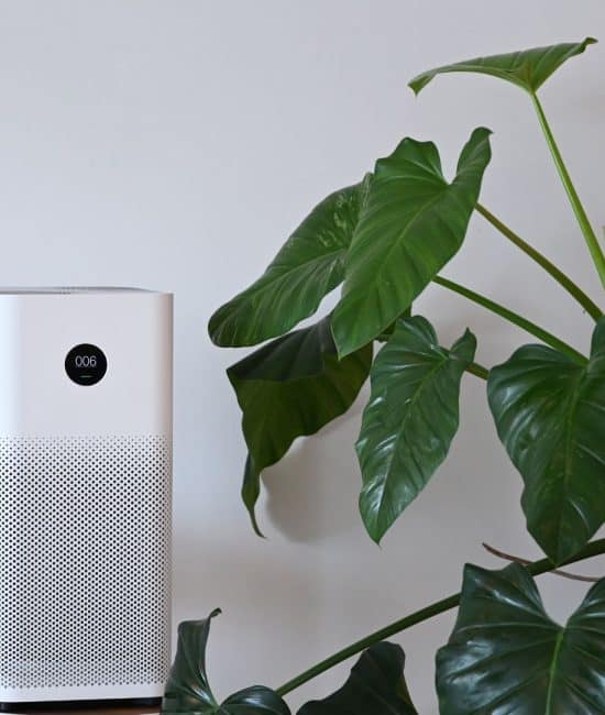 do air purifiers help with dust