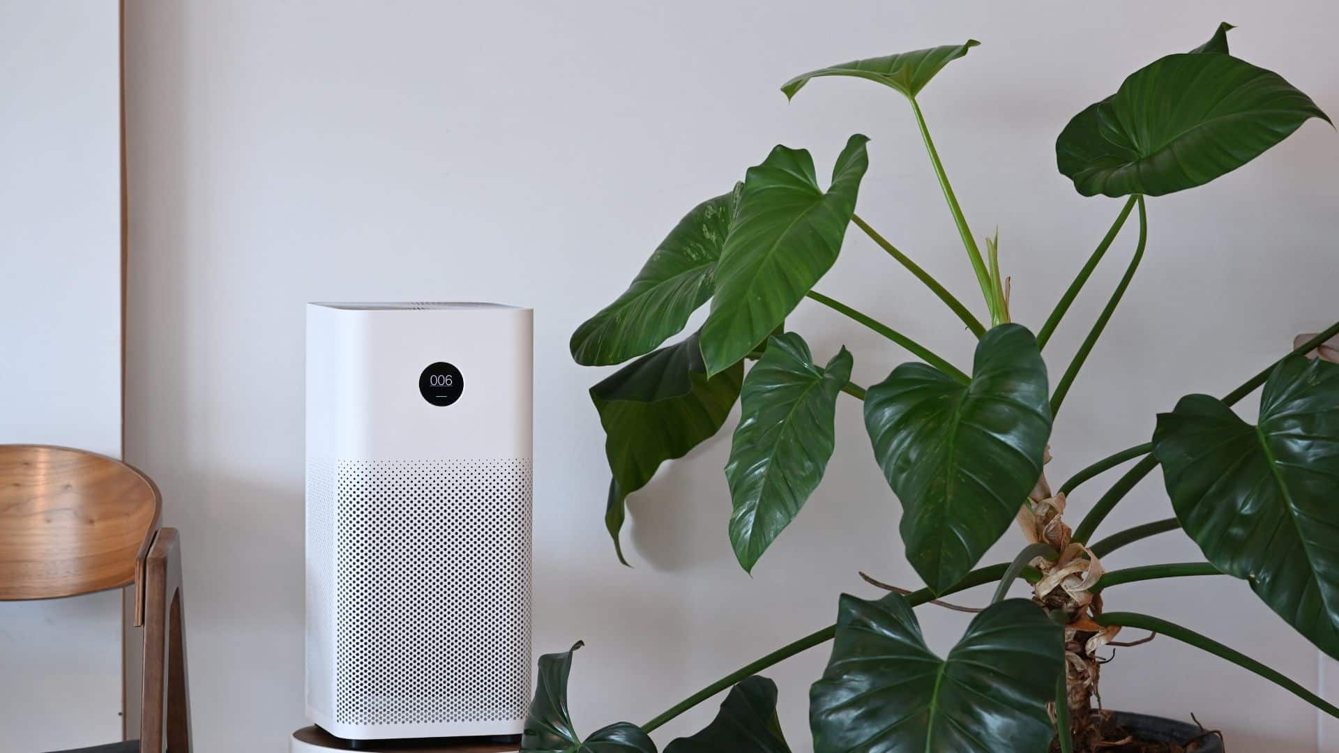 do air purifiers help with dust