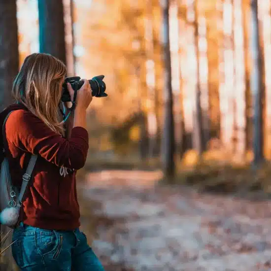 Seeing Nature Differently: How Education Changes the Way You Photograph Wildlife