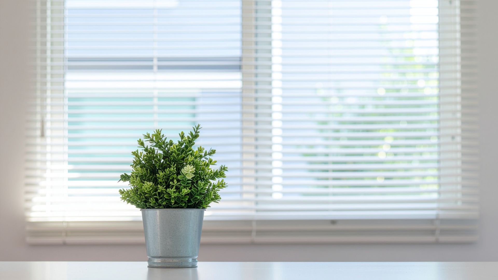 bathroom decorated with green indoor plants near window creating a fresh calming environment with natural elements