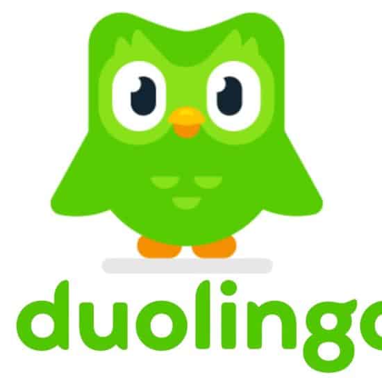 does-duolingo-work