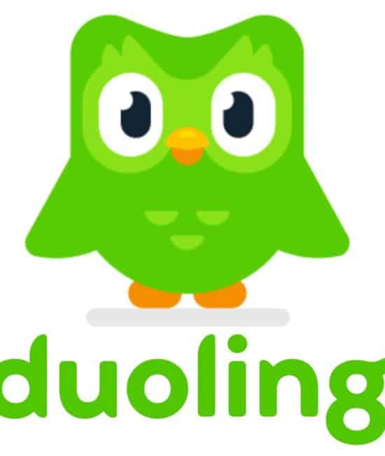 does-duolingo-work