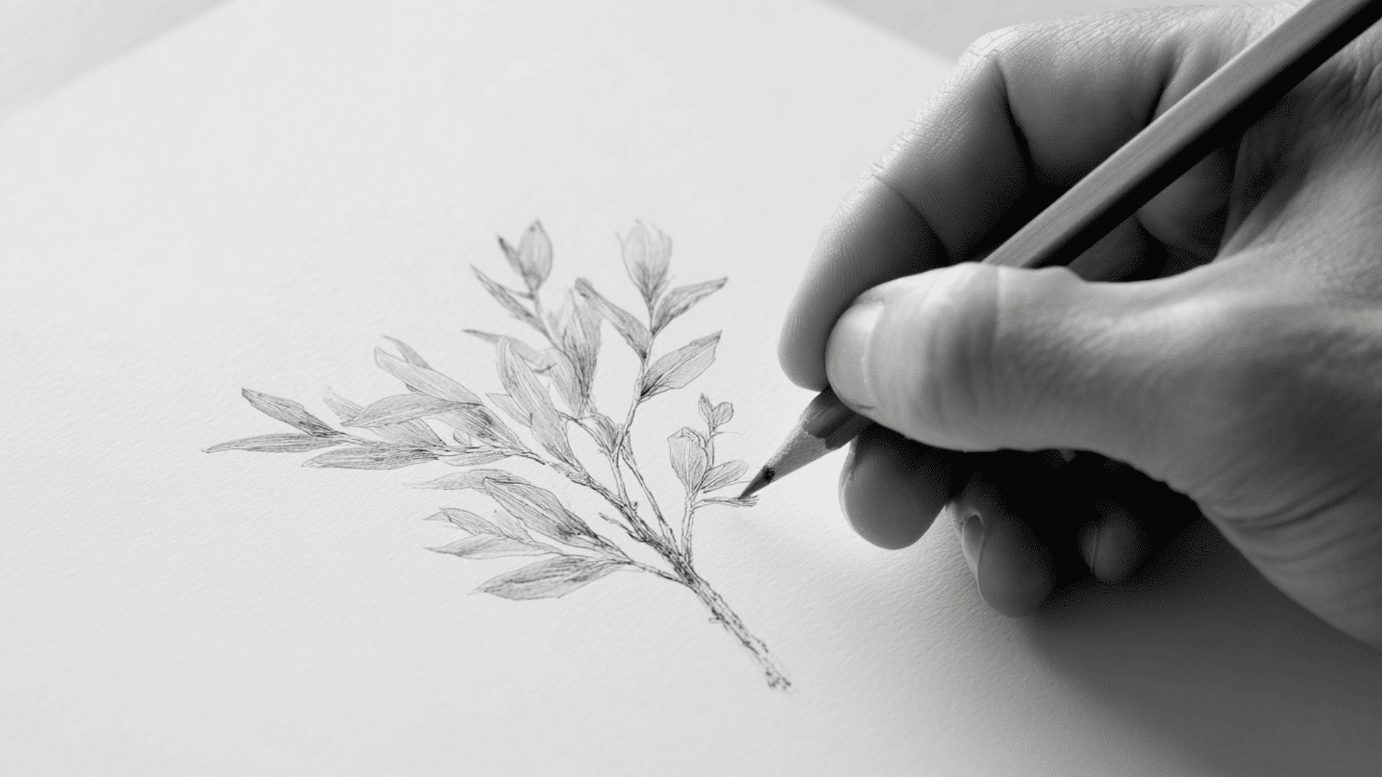 Hand drawing plant without looking at paper in blind contour exercise