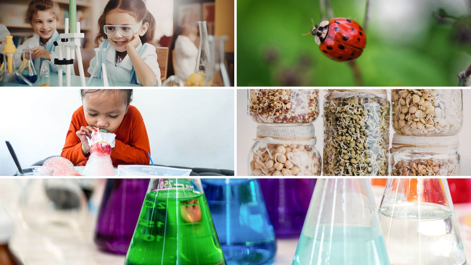Preschoolers doing fun science activities, mixing colorful liquids, observing a ladybug, and exploring simple experiments with seeds and bubbles