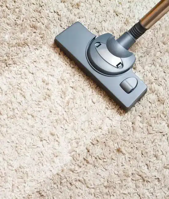 Vacuum cleaner nozzle on beige carpet in bright indoor setting