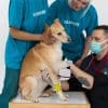 7 Things to Expect When Setting Up Medcovet Luma for the First Time