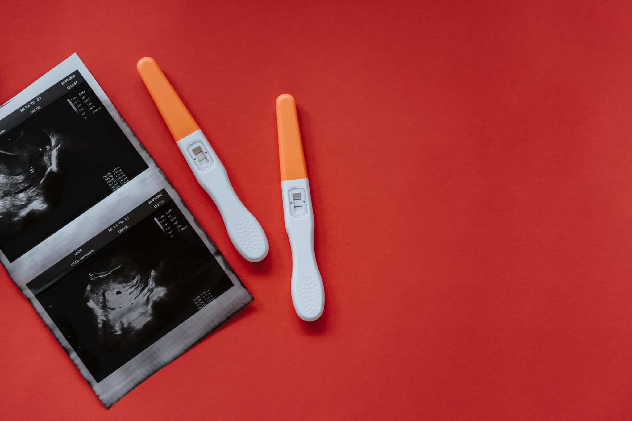 Early Pregnancy and Implantation