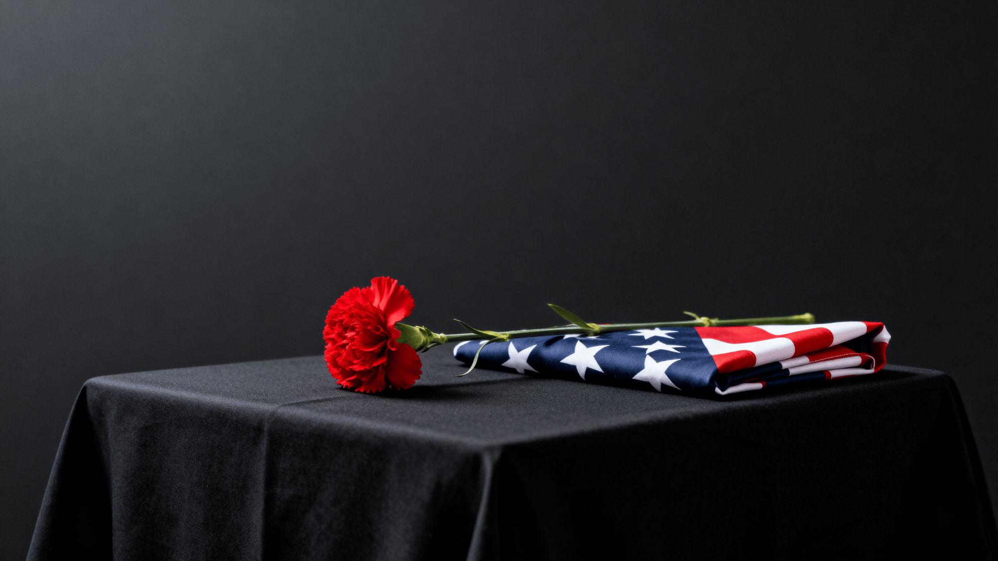 Red flower on black background for Memorial Day remembrance display