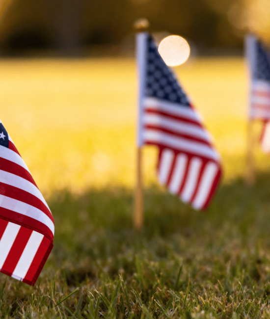 Small American flags placed in grass with sunlight and blurred flags in background.