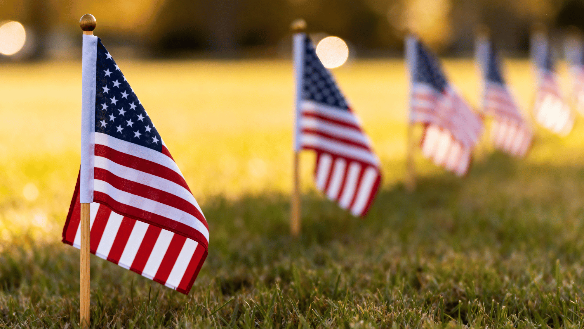 Small American flags placed in grass with sunlight and blurred flags in background.