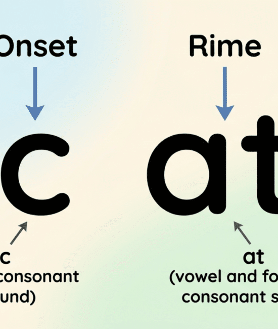 Word “cat” split into onset and rime with simple labels for easy phonics learning