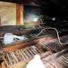 How to Get Rid of Mice Hiding Under Your Attic Insulation