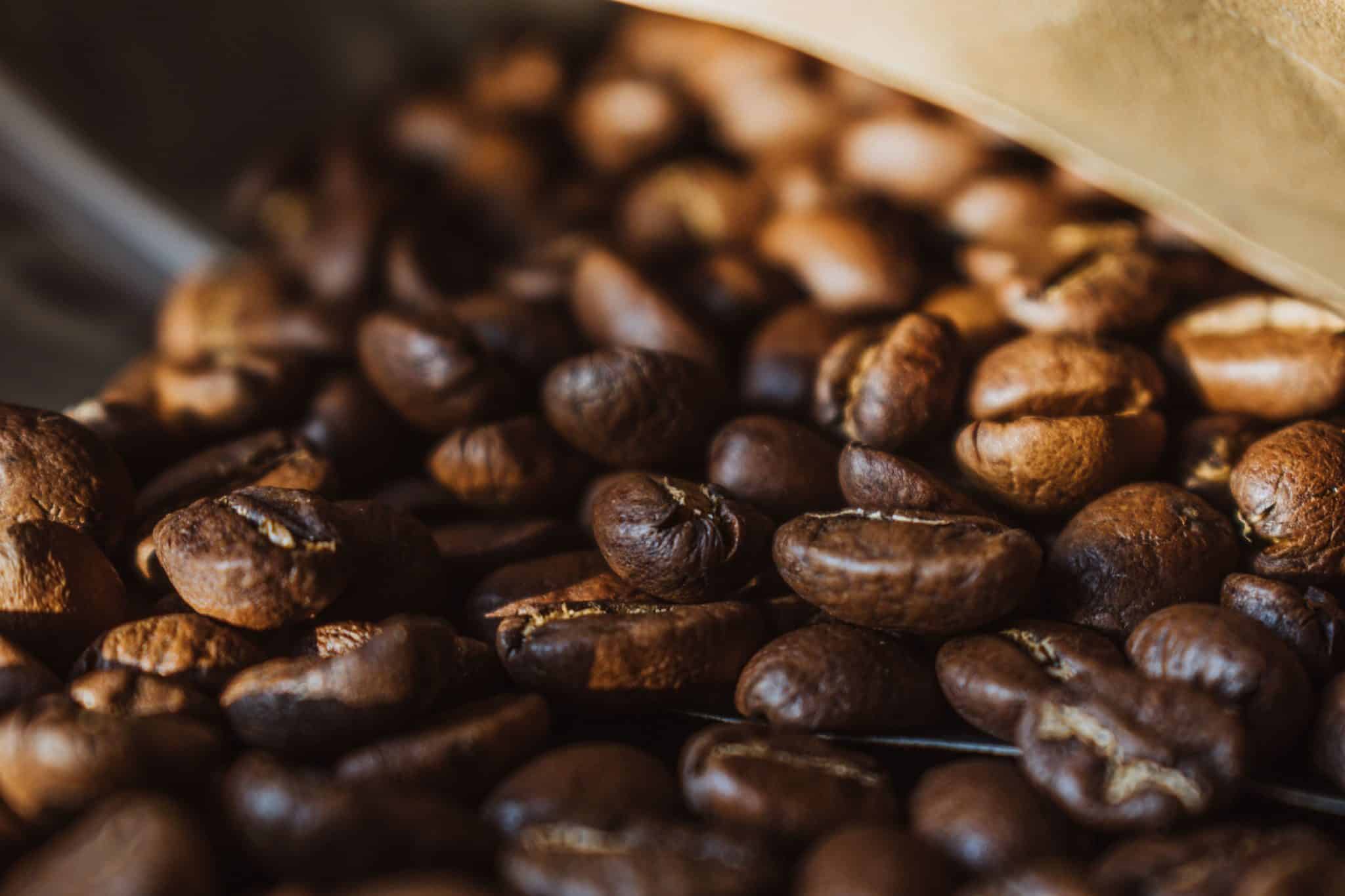 Best Organic Single-Origin Coffee: A Guide to Regions, Flavor, and Choosing the Right Beans