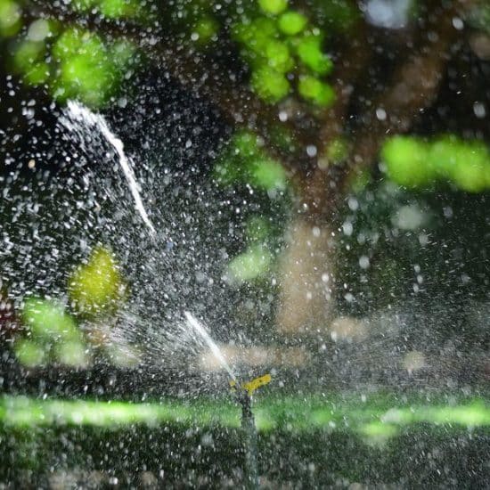 Smart Ways to Plan a Low-Stress Lawn Watering Setup
