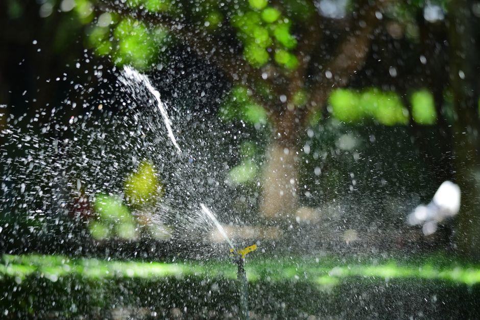Smart Ways to Plan a Low-Stress Lawn Watering Setup