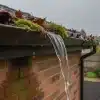 Overflowing rainwater and leaves in clogged gutter on rainy day outside brick building