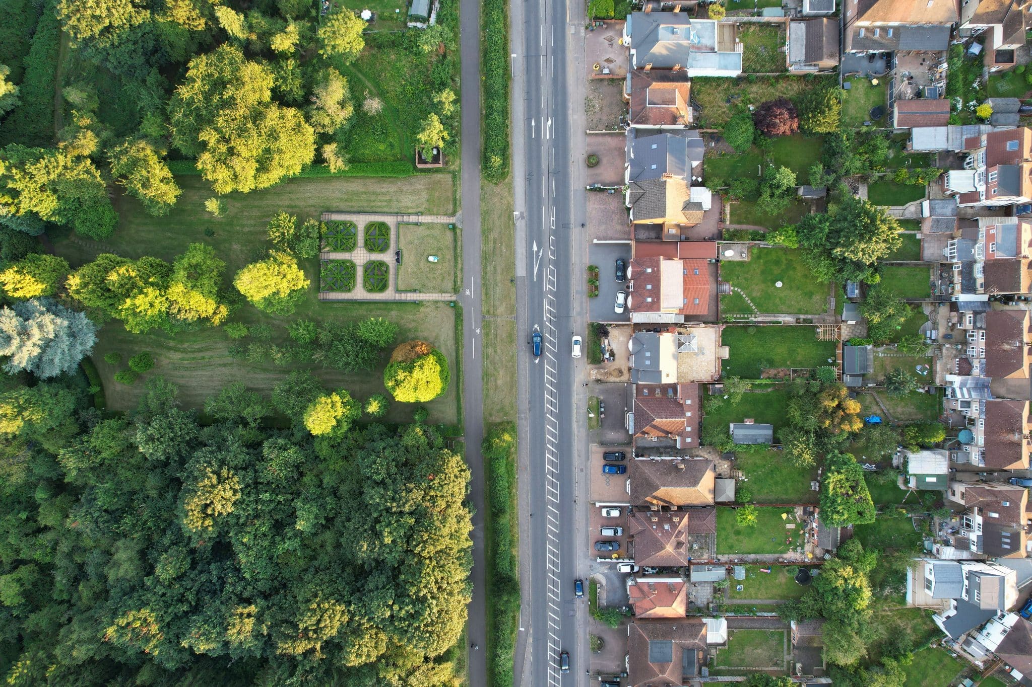 Top 10 UK Areas With Highest Tree Risk