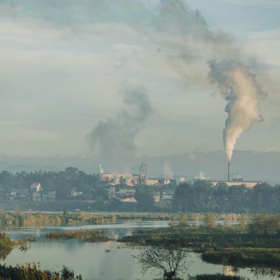 Glyphosate Pollution in Rural vs Urban Water Sources