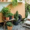 Backyard Garden Ideas for Homes