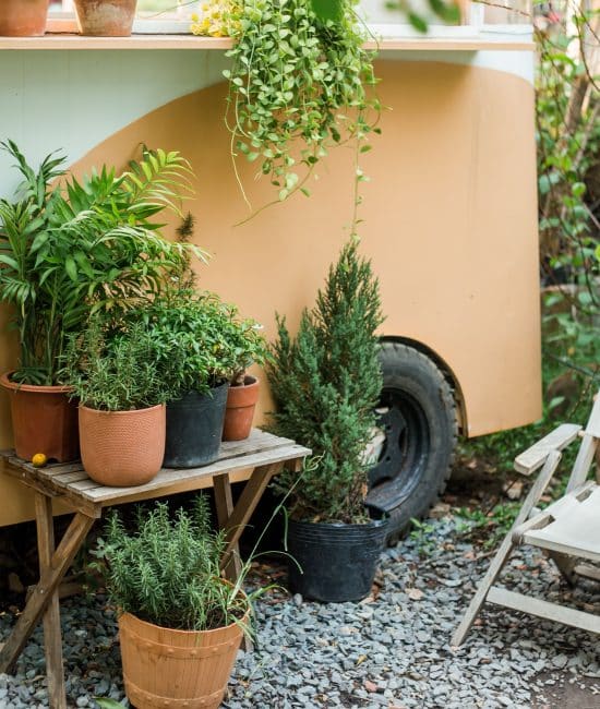 Backyard Garden Ideas for Homes