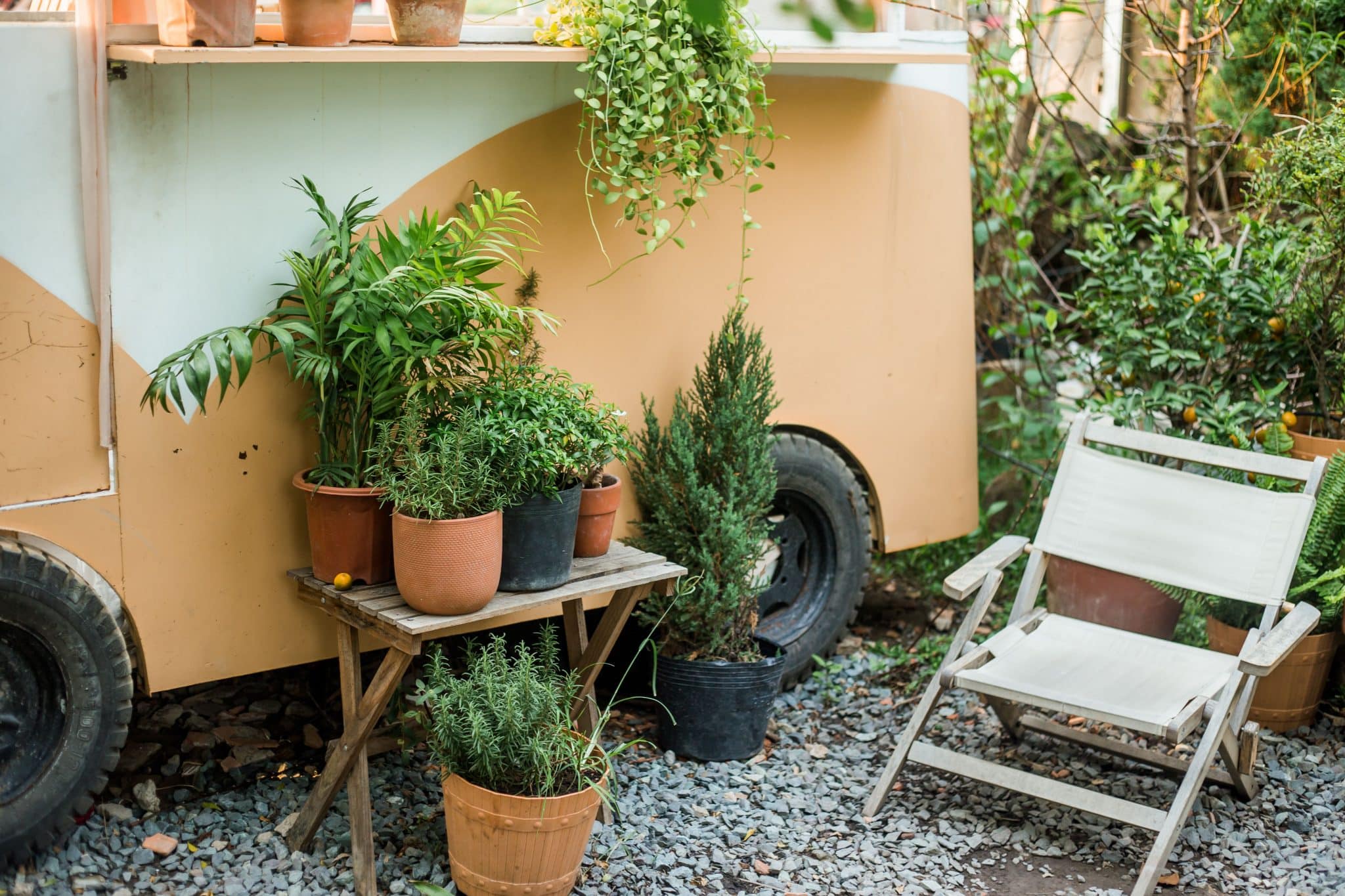 Backyard Garden Ideas for Homes
