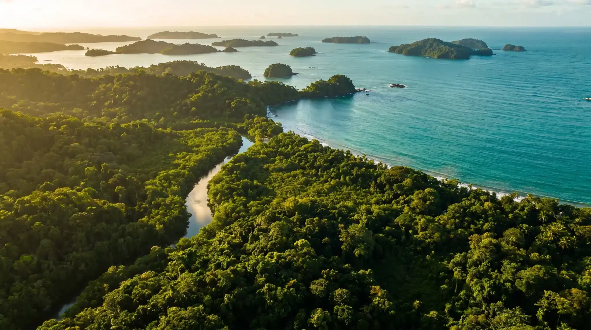 Lush tropical coastline with dense rainforest and calm ocean water under warm sunlight