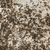 Close-up of weathered, textured surface with brown and beige patches in natural light