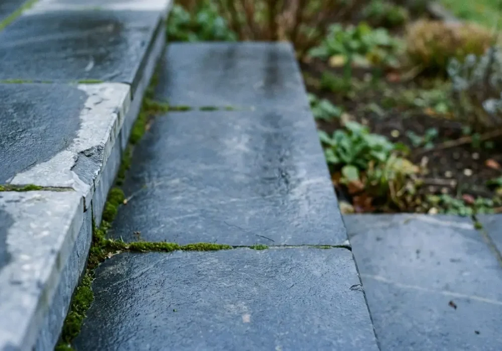 Wet stone steps with moss growing between cracks, surrounded by garden plants and soil