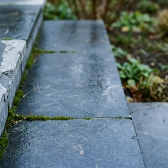 Wet stone steps with moss growing between cracks, surrounded by garden plants and soil